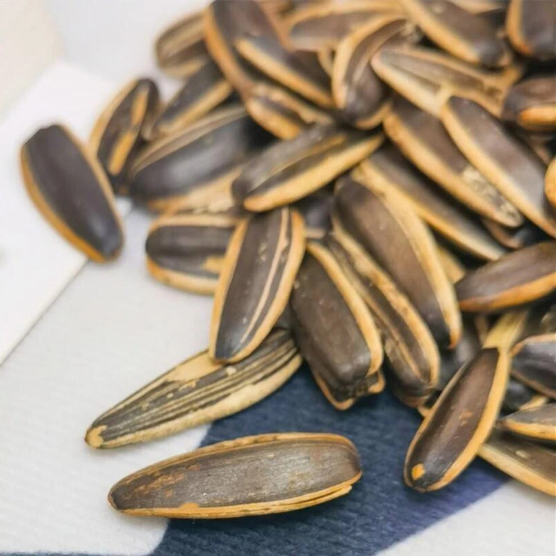 Kuaci Nuts Factory Process Roasted Rattan Pepper Flavor Sunflower Seeds