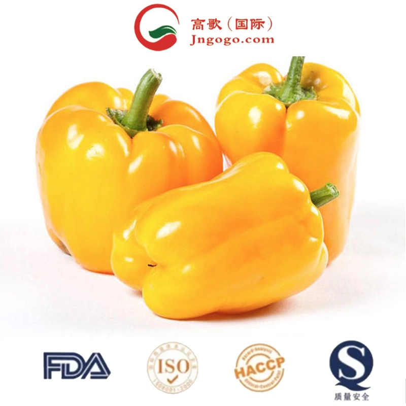 Wholesaler Chilli Natural Fresh High Quality Seasoning Chili Seeds Direct Factory