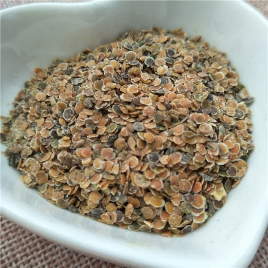 Venda imperdível sementes híbridas de pimenta cereja cone colorido sementes de pimenta malagueta para agricultura