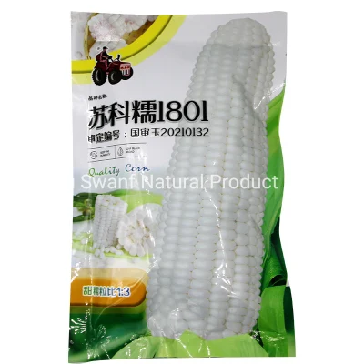 200g Granel Gigante Híbrido F1 Non-GMO China Snow Sweet-Waxy Maize Seeds White Corn Seeds para semear